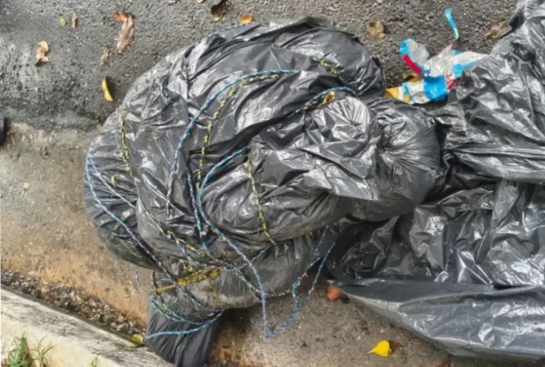 Polícia Civil encontra sete corpos em sacos de lixo em São Paulo