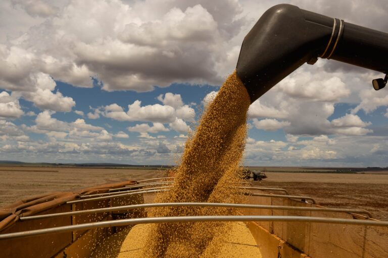 Serasa estima que El Niño reduz safra de soja em 9,7% na próxima temporada