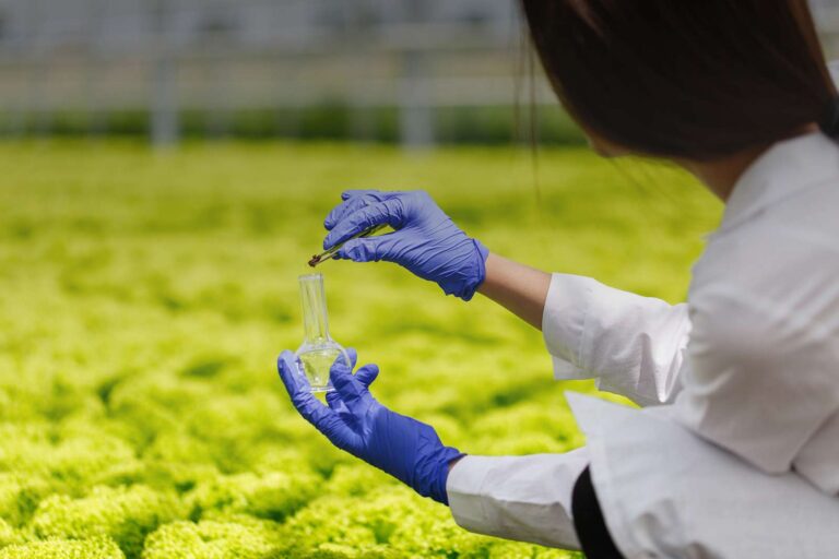 Krilltech recebe R$ 22,5 milhões da Finep para planta de nanodefensivos