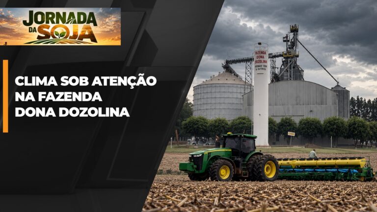 Produtores em Santa Carmem alertam para riscos climáticos no plantio de soja