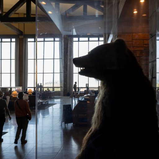Chefe do Fed enfrenta críticas sobre comunicação em Jackson Hole