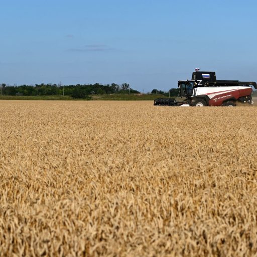 Sistema alimentar global fica mais resiliente ante forte El Niño previsto