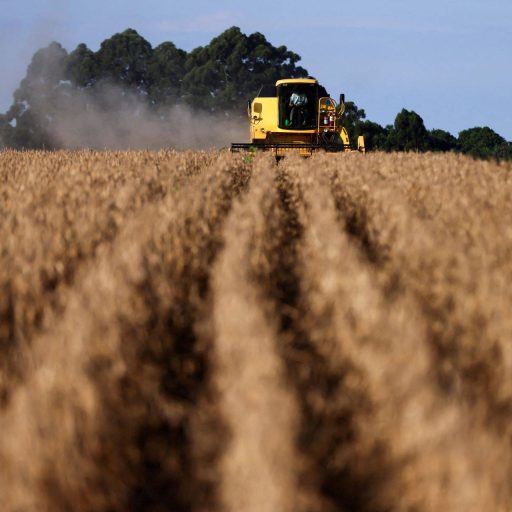 Super El Niño: alarme climático maior que danos reais no agro