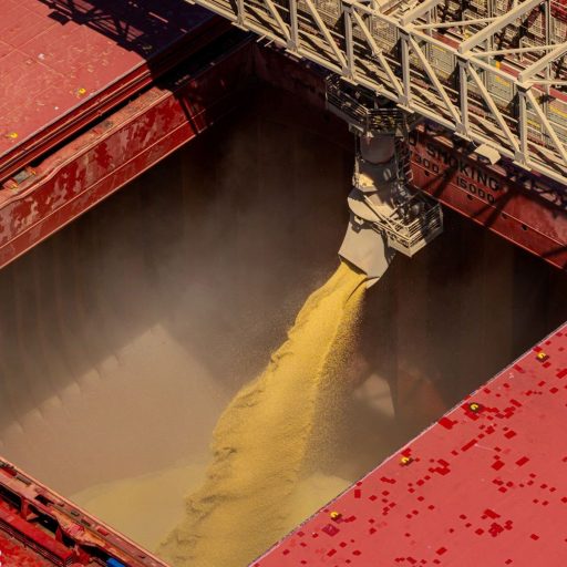 PIB da cadeia de soja e biodiesel deve avançar 6,87% em 2026