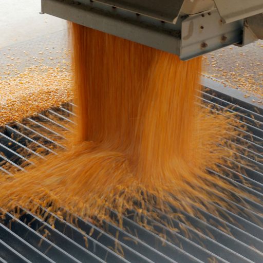 USDA reduz produtividade esperada de soja nos EUA em 2026