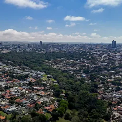 Queda da pobreza no Paraná: índices alcançam níveis históricos