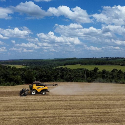 Produção de soja do Brasil cresce menos de 1% em 26-27