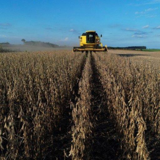 Crédito agrícola em crise: leilões de fazendas crescem no Brasil