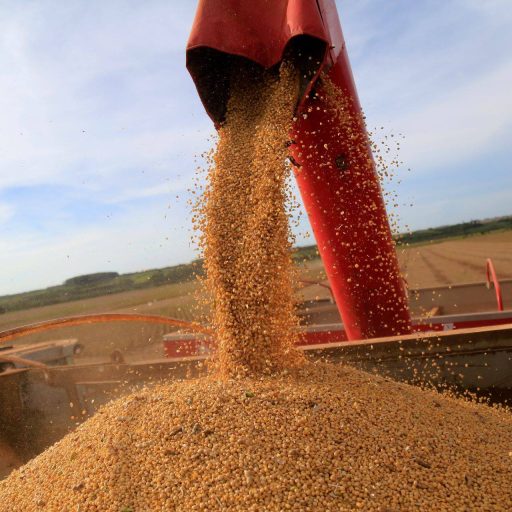 MP da dívida rural será editada com juros de até 12%