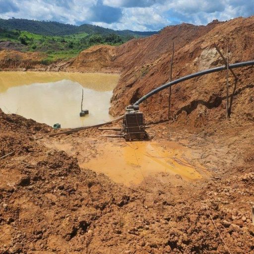 PF fecha garimpo ilegal de ouro em área de 22 hectares no Pará  • undefined