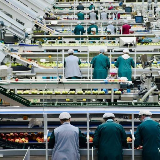 Selic a 14,25% asfixia indústria e reduz investimento em inovação