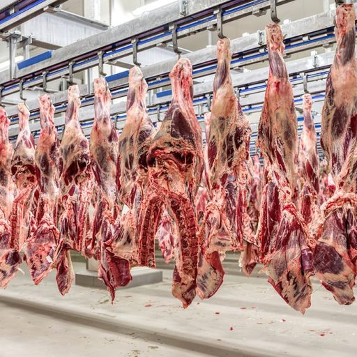 UE embarga produtos animais e afeta vendas brasileiras em US$ 18 bi