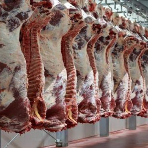 UE suspende importações de carnes do Brasil a partir de 3 de setembro