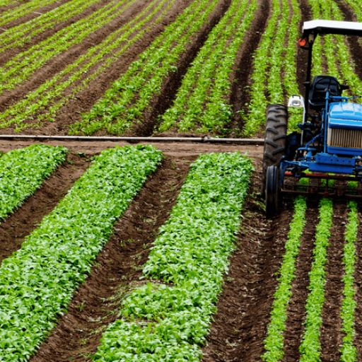 Transformação do agro no Brasil pode exigir até US$ 511 bilhõe  • Divulgação/MAPA