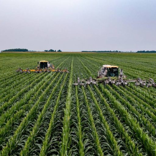 Governo monitora impactos do Super El Niño no agronegócio