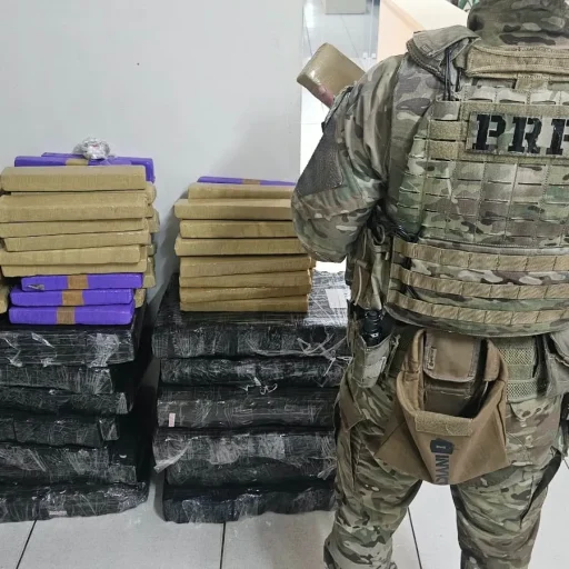 PM e PRF apreendem mais de uma tonelada de maconha no Paraná