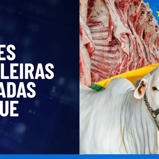 União Europeia restringe importação de carnes brasileiras por normas sanitárias rigorosas