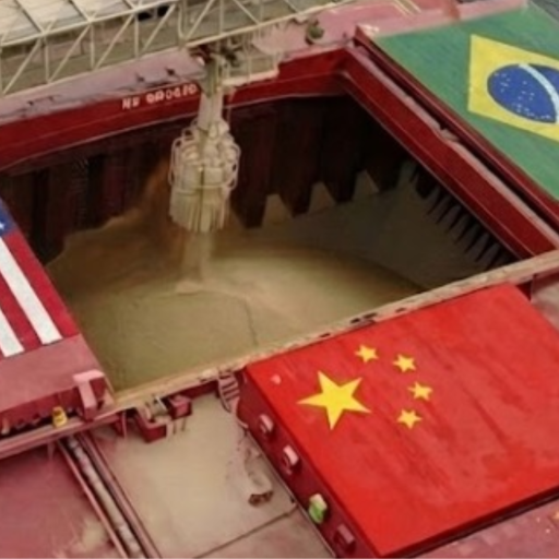 China mantém compras de soja americana mas volume fica dentro do acordo