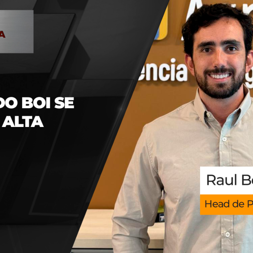 Arroba do boi sobe em diferentes praças com reajustes de R$5