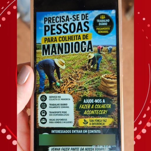 1 de 4 Imagem do anúncio que atraiu as vítimas. — Foto: Reprodução