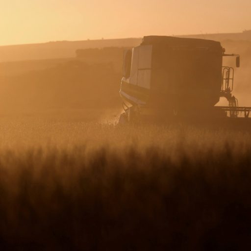 Brasil aumenta dependência de importações de diesel dos EUA
