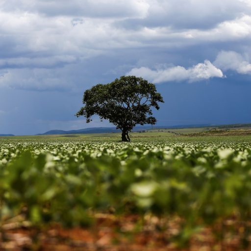 IFI aponta que economia brasileira opera acima do limite estrutural