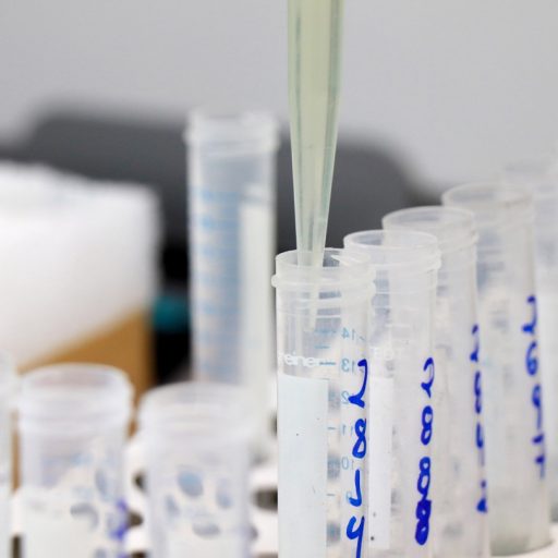 Tecpar envia à Anvisa pedido para produzir vacina contra catapora