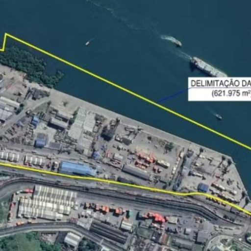Terminal de carga STS 10 no porto de Santos aumentará capacidade após leilão