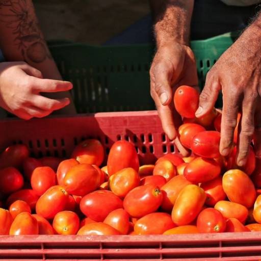 Governo autoriza pagamento de equalização de juros em financiamentos